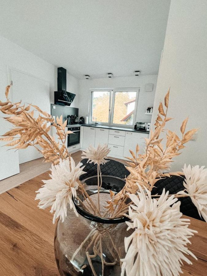 Black Forest Apartments ゲンゲンバッハ エクステリア 写真